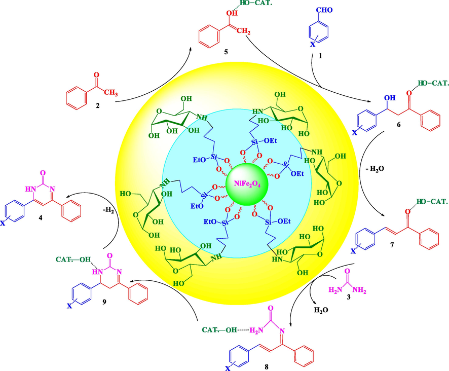 Proposed mechanism for synthesis of 4,6-bisarylpyrimidin-2(1H)-ones.