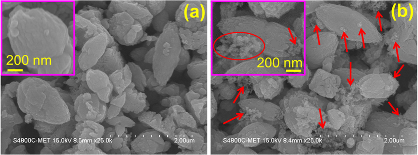 FESEM images of (a) pristine ZnO and (b) Ni-Co/ZnO nanostructures.