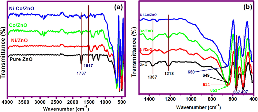 FTIR spectra: (a) Pure ZnO and metal-loaded ZnO samples and (b) Enlarged view of the wavenumber (below 1500 cm−1).