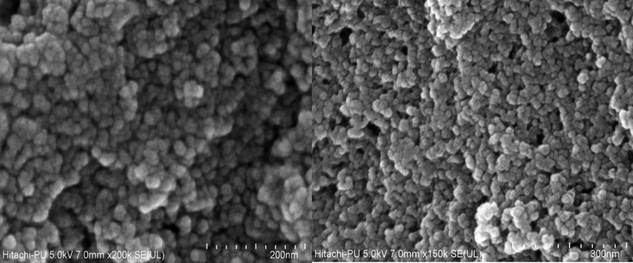 Field emission-scanning electron microscope images of iron oxide nanoparticles.