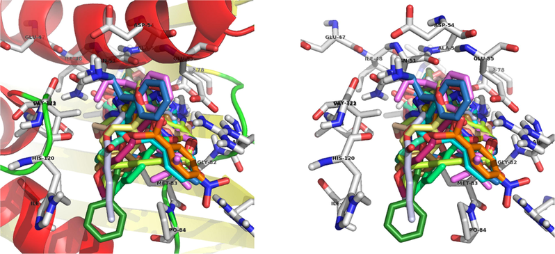 Docking mode of all synthesized triazoles in the active site.