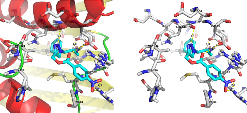 Docking mode of the most binding energy compound 13a.