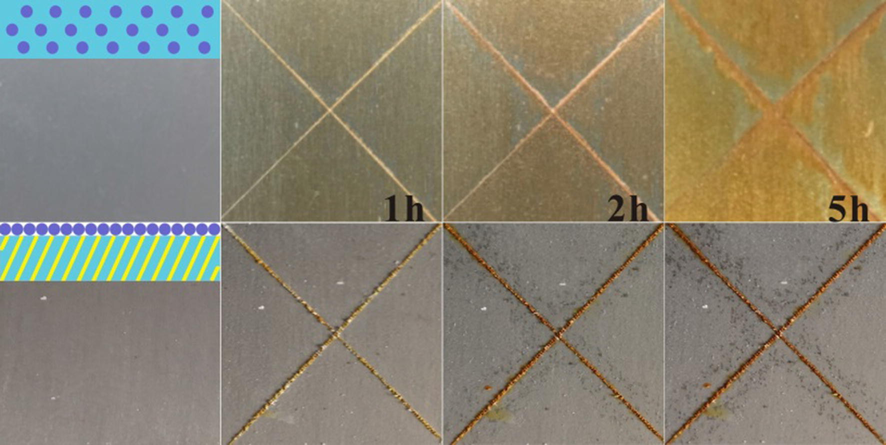 Images of the salt spray-tested tinplates coated with coating systems I (top) and III (bottom).