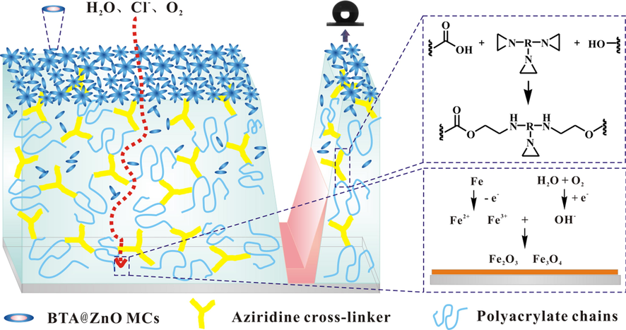 The possible corrosion protective mechanism of coating system III.