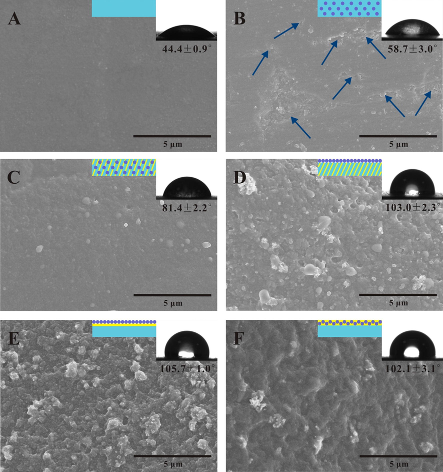 SEM images and water contact angles of the pure WPA coating (A), composite coating systems I (B), II (C), III (D), IV (E) and V (F). (Micro-nano pores were observed at the direction of the blue arrows.)