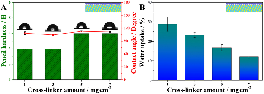 (A) Pencil hardness and water contact angles, (B) water absorption rates of coating system III with different aziridine cross-linker amounts.