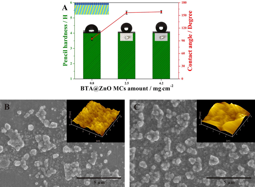 (A) Pencil hardnesss and water contact angles of coating system III with different BTA@ZnO MCs amounts (inset: optical images of a drop of water on the coating), SEM and AFM images of coating system III with (B) 0.8 mg/cm2 and (C) 2.5 mg/cm2 of BTA@ZnO MCs.