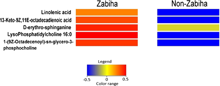 Heatmap showing intensities of metabolites identified by tandem mass spectral library search having ≥ 2-fold change difference at p-value ≤ 0.05 between Zabiha and Non-Zabiha chicken meat samples.