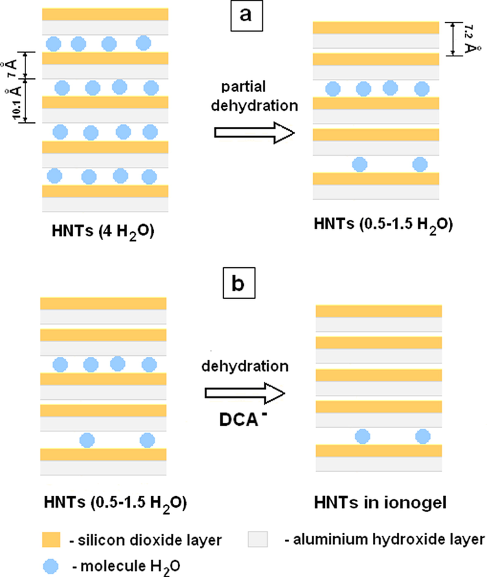 Changes in the structure of (a) halloysite (4 H2O) due to partial dehydration upon drying and (b) halloysite (0.5–1.5 H2O) due to dehydration upon contact with hydrophilic IL.