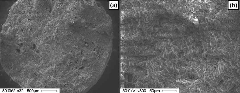 The SEM images of break of catalyst granules prepared at P = 1 atm.