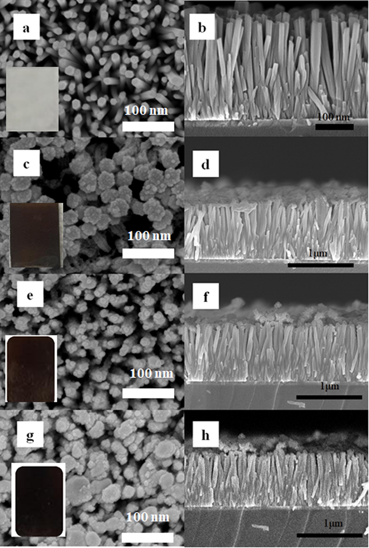 Plane view FESEM images with cross-sectional of: (a-b) bare ZnO NRAs; (c-d) Bi2S3/ZnO NRAs/ITO; (e-f) Ag2S/ZnO NRAs/ITO; (g-h) Bi2S3/Ag2S/ZnO NRAs/ITO.