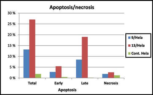 Apoptotic activity of benzimidazole compounds 9 and 13.