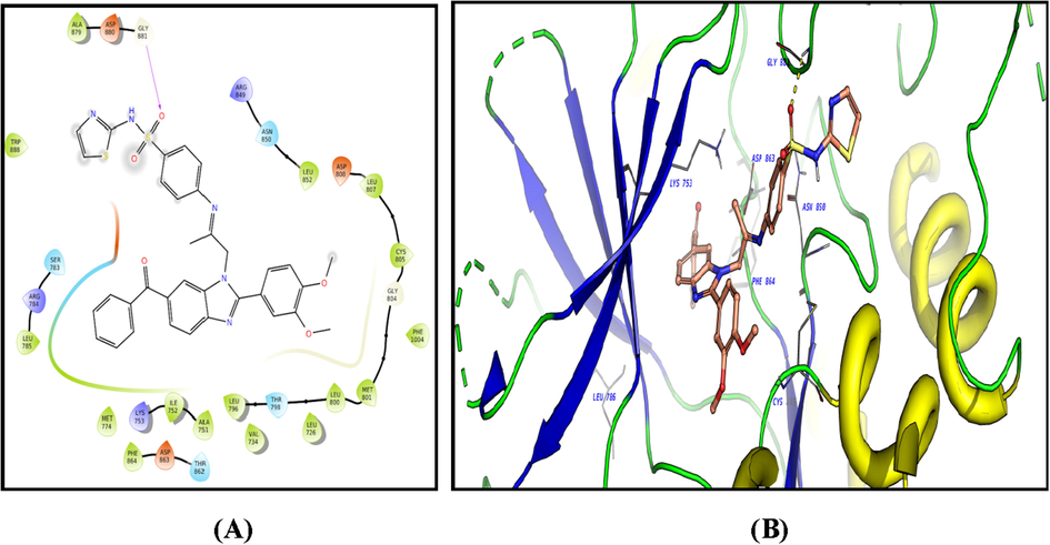 2D diagram (A) and 3D representation (B) of compound 3f showing its interaction with the HER2 kinase active site.