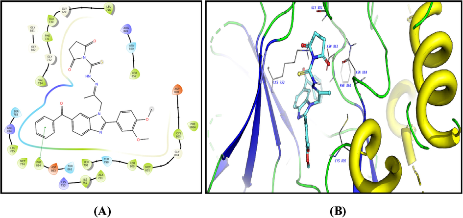 2D diagram (A) and 3D representation (B) of compound 9 showing its interaction with the HER2 kinase active site.