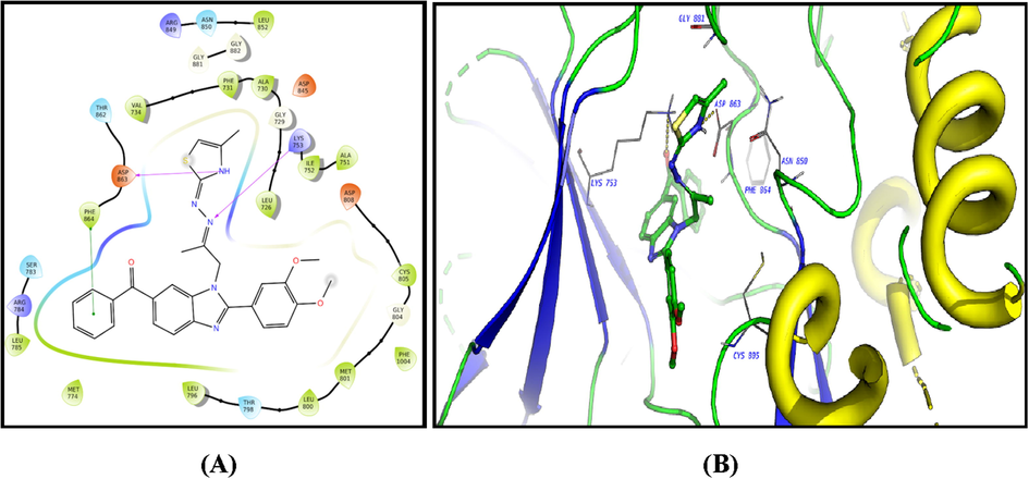 2D diagram (A) and 3D representation (B) of compound 12 showing its interaction with the HER2 kinase active site.