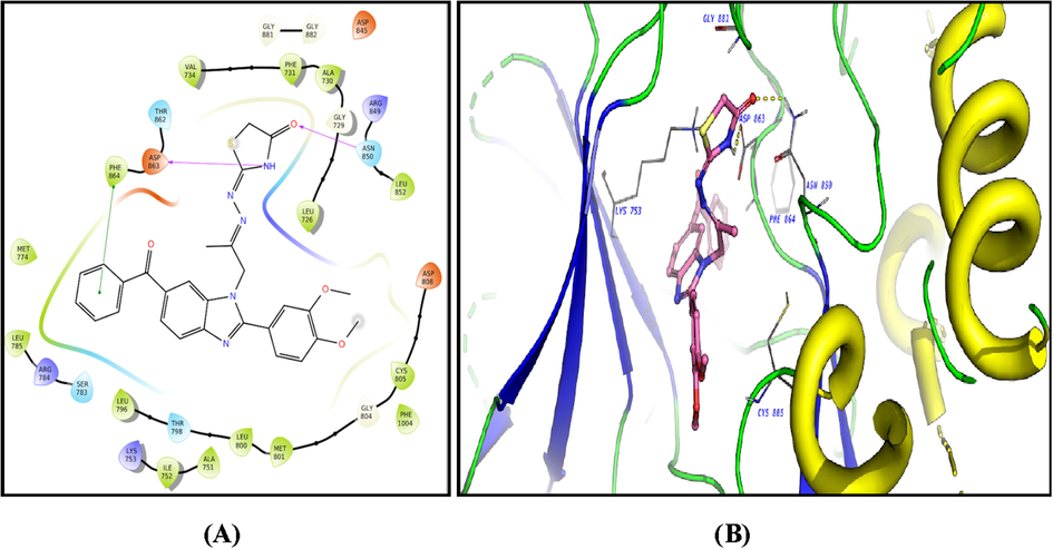 2D diagram (A) and 3D representation (B) of compound 13 showing its interaction with the HER2 kinase active site.