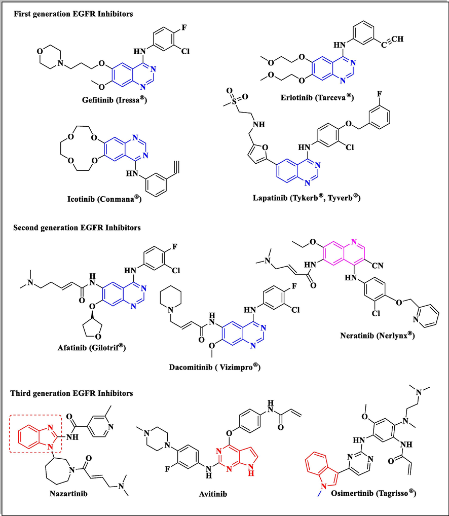 Various approved drugs of EGFR tyrosine kinase inhibiting activity.