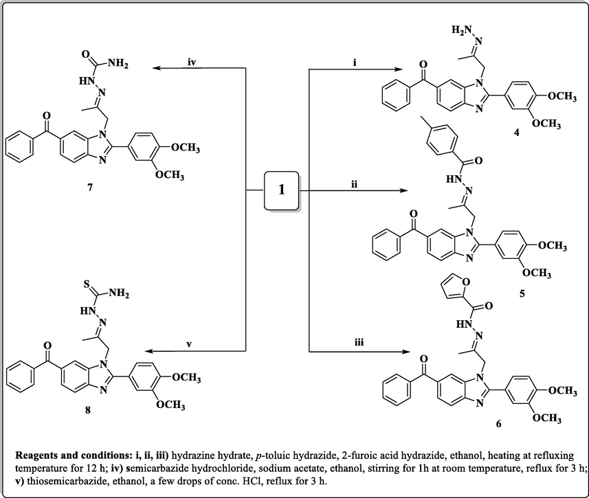 Synthesis of hydrazine-(thio)carboxamide-benzimidazole derivatives (4–8).