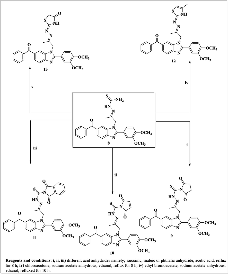 Synthesis of benzimidazole derivatives conjugated with 2,5-dioxopyrrolidine, 2,5-dioxopyrroline, 1,3-dioxoisoindoline, thiazoline and thiazolidine rings (9–13).