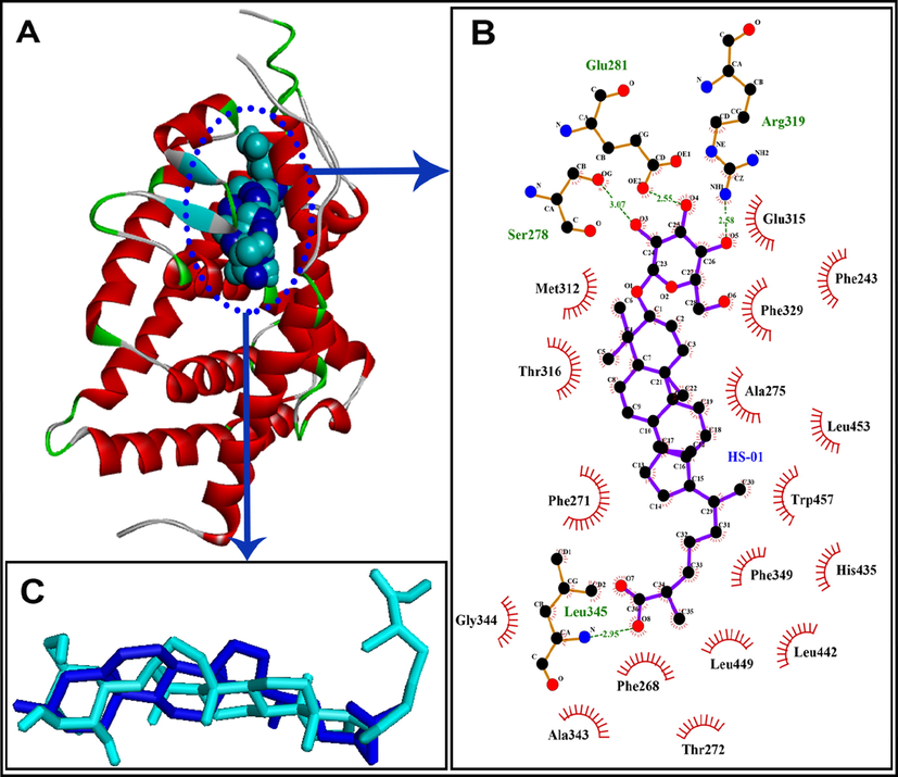 A: HS-01 (shown as CPK in cyan color) docked into the binding pocket of galectin-3 (shown as ribbon), native cocrystallized ligand is shown as CPK style in blue color; B: Ligplot diagram of docked HS-01 in the binding pocket of galectin-3 showing key interacting residues; C: Docked HS-01 (shown in cyan color) with native co-crystallized ligand (shown in blue color) exhibiting RMSD of 0.45 Å.