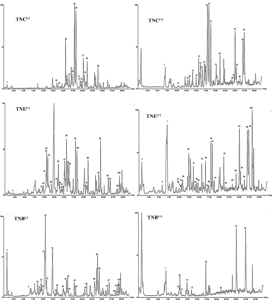 UPLS-ESI-MS chromatograms of T. nubica aerial parts chloroform (TNC), ethyl acetate (TNE) and n-butanol (TNB) fractions in negative (−) and positive (+) ionization modes.