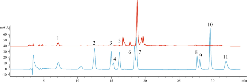 The HPLC analysis on the phenolic compounds of EBL. 1 chlorogenic acid, 2 isoorientin, 3 rutin, 4 apigenin8-C-glucoside, 5 luteolin-4′-O- glucoside, 6 quercitrin, 7 apigenin-7-O-glucoside, 8 luteolin, 9 quercetin, 10 cinnamic acid, 11 apigenin. The red line was the sample curve and blue line was the standard curve.