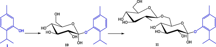 Glycosylation of thymol (1) 5-methyl-2-(1-methylethyl)phenyl b-D-glucopyranoside (10) and 5-methyl-2-(1-methylethyl)phenyl 6-O-(b-D-glucopyranosyl)-b-D-glucopyranoside (11) by the cultured cells of Eucalyptus perriniana (Shimoda et al., 2006).