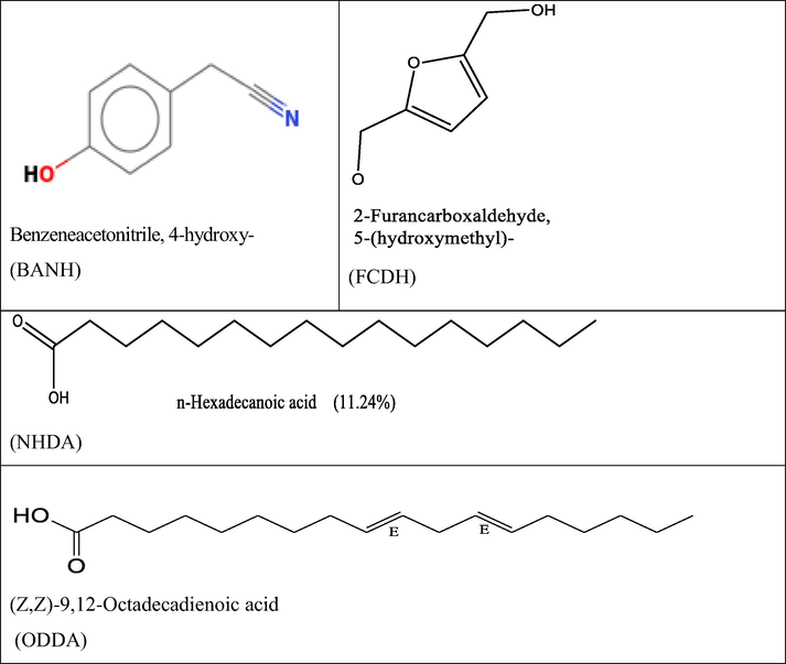 The molecular structures of plant extract composition, selected for DFT investigation.