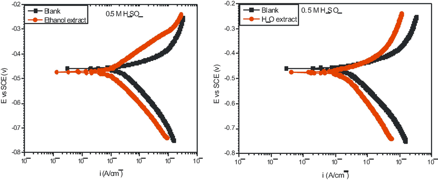 Potentiodynamic polarization curves of mild steel in 0.5 M H2SO4 solution without and with 1.5 g/L ethanol extract of M.O at 303 K.