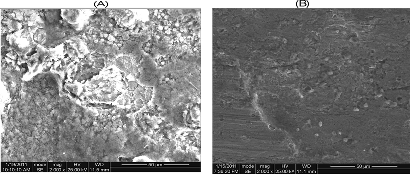 SEM micrograph of mild steel after immersion in 0.5 M H2SO4 for 24 h without and with MO extract at 303 K (a and b respectively).