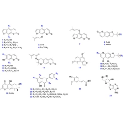 Article figure