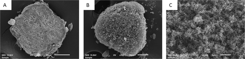 Microstructure of the pure (A) and N-BCNT containing (B and C) PVC composites. Surface slice of pure PVC grain (no nanotubes) (A); PVC/N-BCNT mixture (5% carbon nanotube) after ultrasonication (B); surface of the sliced N-BCNT containing sample (C).