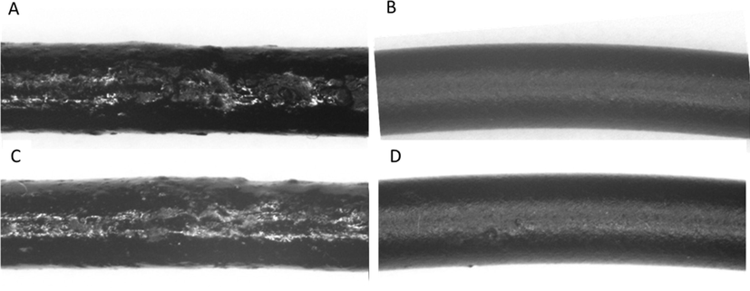 Extruded N-BCNT/PVC fibers produced by using the conventional (A) and the new ultrasonic method (B). MWCNT/PVC fibers produced by using the conventional (C) and the new ultrasonic method (D). The diameter of the extrudates is about 2 mm.