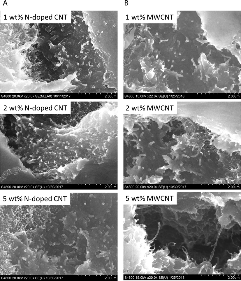 SEM images of the prepared N-BCNT/PVC (A) and MWCNT/PVC (B) composites.