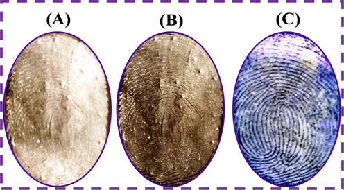 Comparison study of LFP detection with commercial TiO2 and commercial ZnSO4 under daylight and N-CDs/ZnONPs nanocomposite on aluminum foil surface under UV light irradiation at 365 nm.