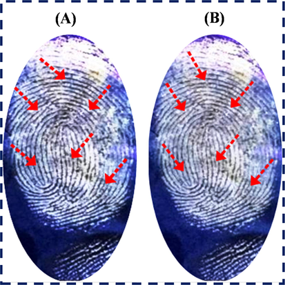 LFPs developed on different non-porous smooth surfaces of CD (A) and magazine paper (B) under daylight and (A′ & B′) under UV light irradiation of 365 nm and rough surface of iron disc (C) and black mat (D) under daylight and under UV light irradiation 365 nm (C′ & D′) by using N-CDs/ZnONPs nanocomposite.