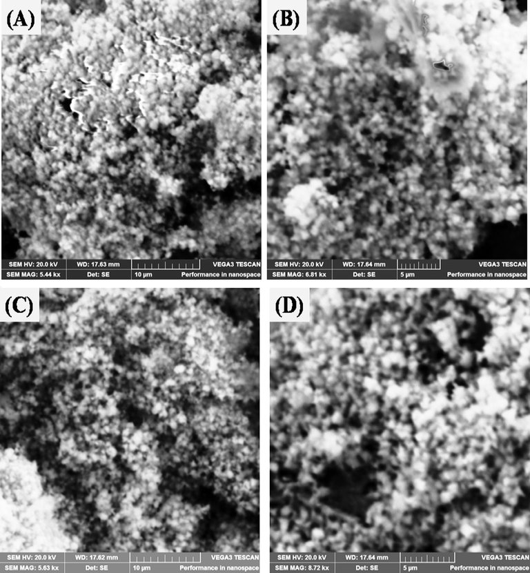 SEM images of (A&B) low magnification at 10 µm and high magnification at 5 µm of ZnONPs. (C&D) low magnification at 10 µm and high magnification at 5 µm of N-CDs/ZnONPs nanocomposite.