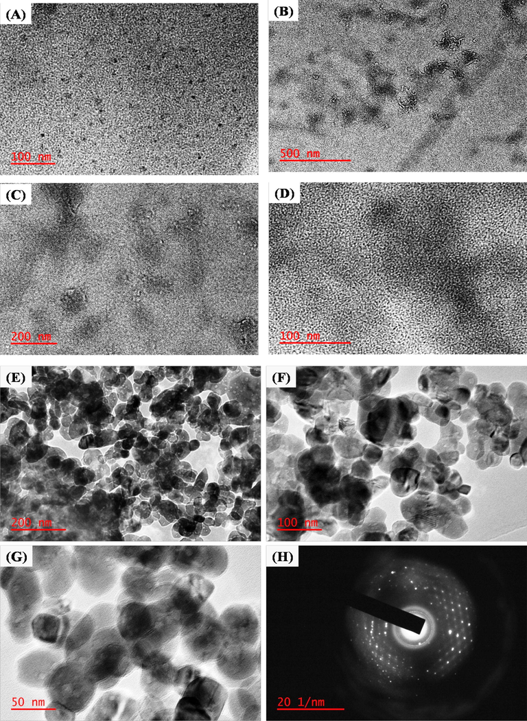 (A) TEM images of N-CDs with magnification 100 nm at reaction time 12 hr, (B) TEM images of N-CDs with magnification (B) 500 nm, (C) 200 nm and (D) 100 nm at reaction time 20 h. TEM images of PVP capped ZnONPs at different magnification of (E) 200 nm, (F) 100 nm and (G) 50 nm, (D) SAED pattern of ZnONPs.