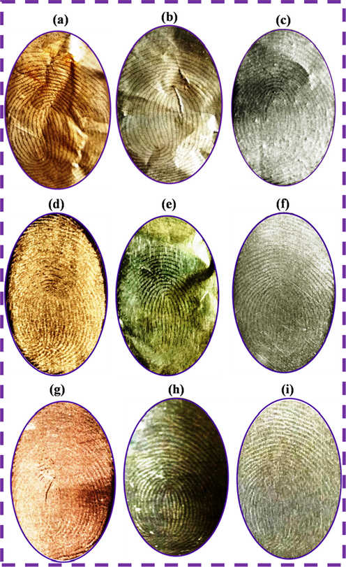 Latent fingerprints images on the different surface materials of aluminum foil (a) N-CDs, (b) N-CDs/ZnONPs nanocomposite and (c) ZnONPs, aluminum sheet (d) N-CDs, (e) N-CDs/ZnONPs nanocomposite and (f) ZnONPs and aluminum rod (g) N-CDs, (h) N-CDs/ZnONPs nanocomposite and (i) ZnONPs.