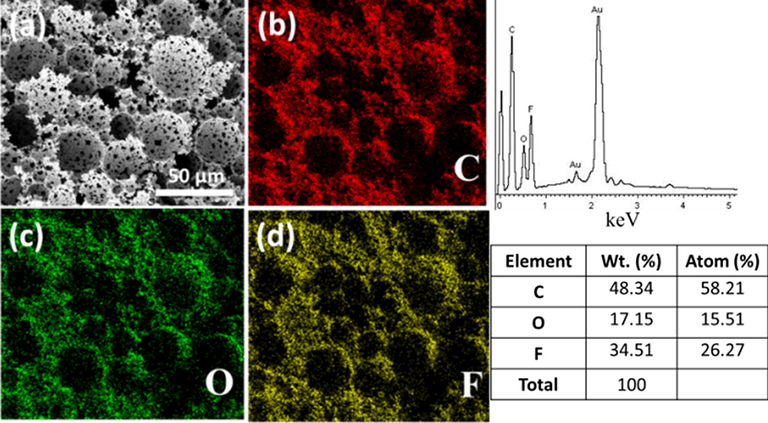 EDS analysis of poly(MMA-HFBA) (confirmation of fluorine atoms localization).