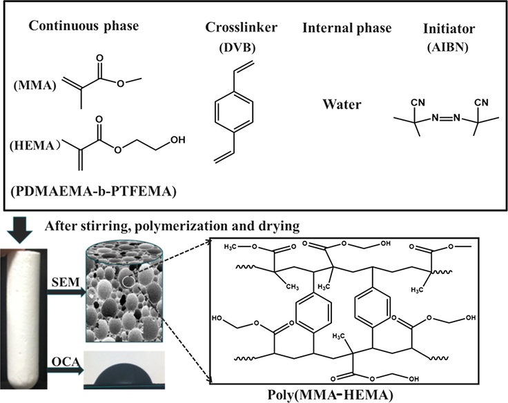 Reaction scheme of preparation of Poly(MMA-HEMA).