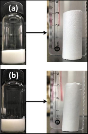 Photographs of (a) MMA-HEMA HIPE and its polyHIPE, (b) MMA-HFBA HIPE and its polyHIPE.