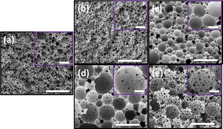 SEM images of (a) sample 1, (b) sample 2, (c) sample 3, (d) sample 5, and (e) sample 6, big scale bar 50 µm and inset scale bar 5 µm.