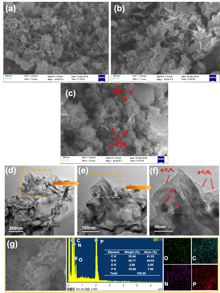 (a–c) SEM images of RP, g-C3N4, 50%-RP/g-C3N4. (d–f) TEM images of 50%-RP/g-C3N4 in different amplifications. (g) EDS spectrum of 50%-RP/g-C3N4 and Elemental mapping images of O, C, N and P.