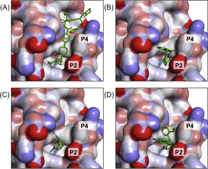 3D molecular surface map of Bcl-2 showing the docked poses of (A) navitoclax, (B) 3b, (C) 4a and (D) 5b into P2 and P4 binding hot spots.