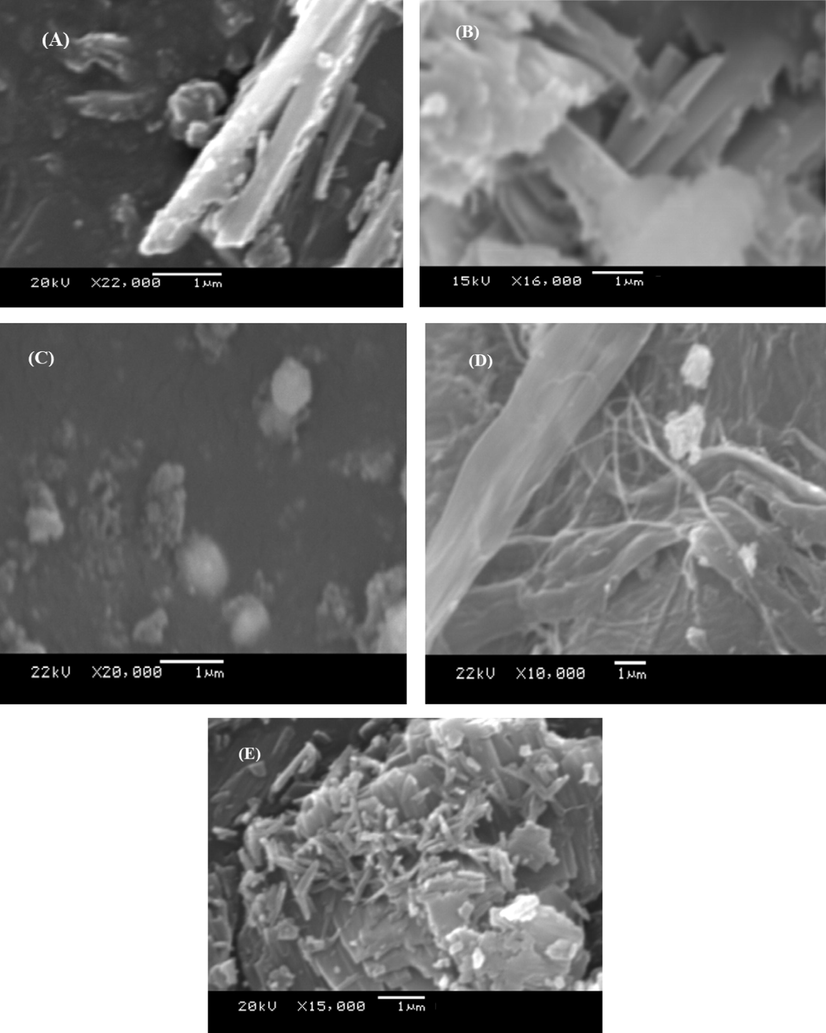 SEM images of H2L ligand and its metal (II) complexes (a–e), respectively.