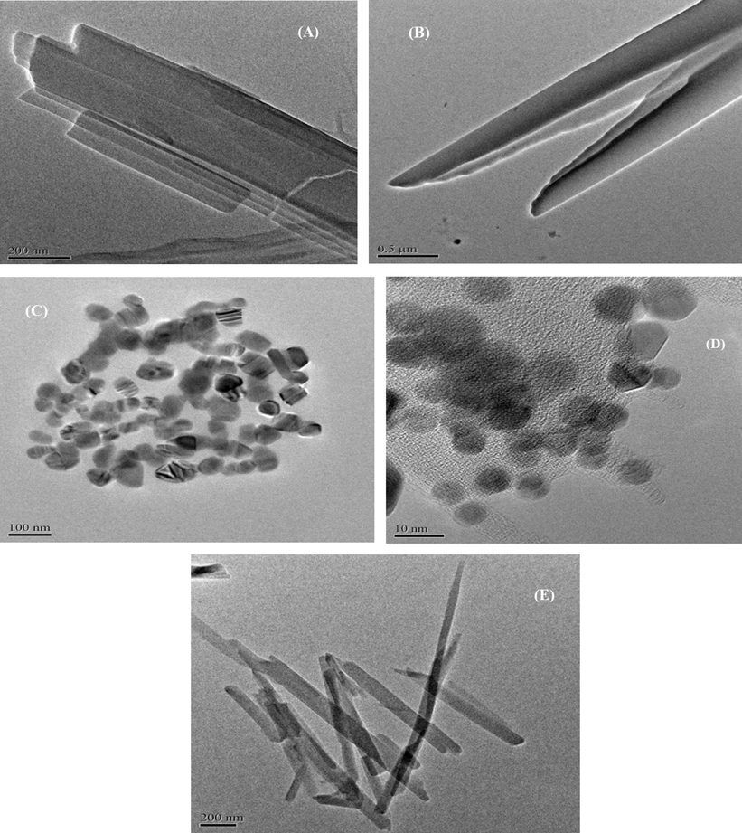 TEM images of H2L ligand and its metal (II) complexes (a–e), respectively.