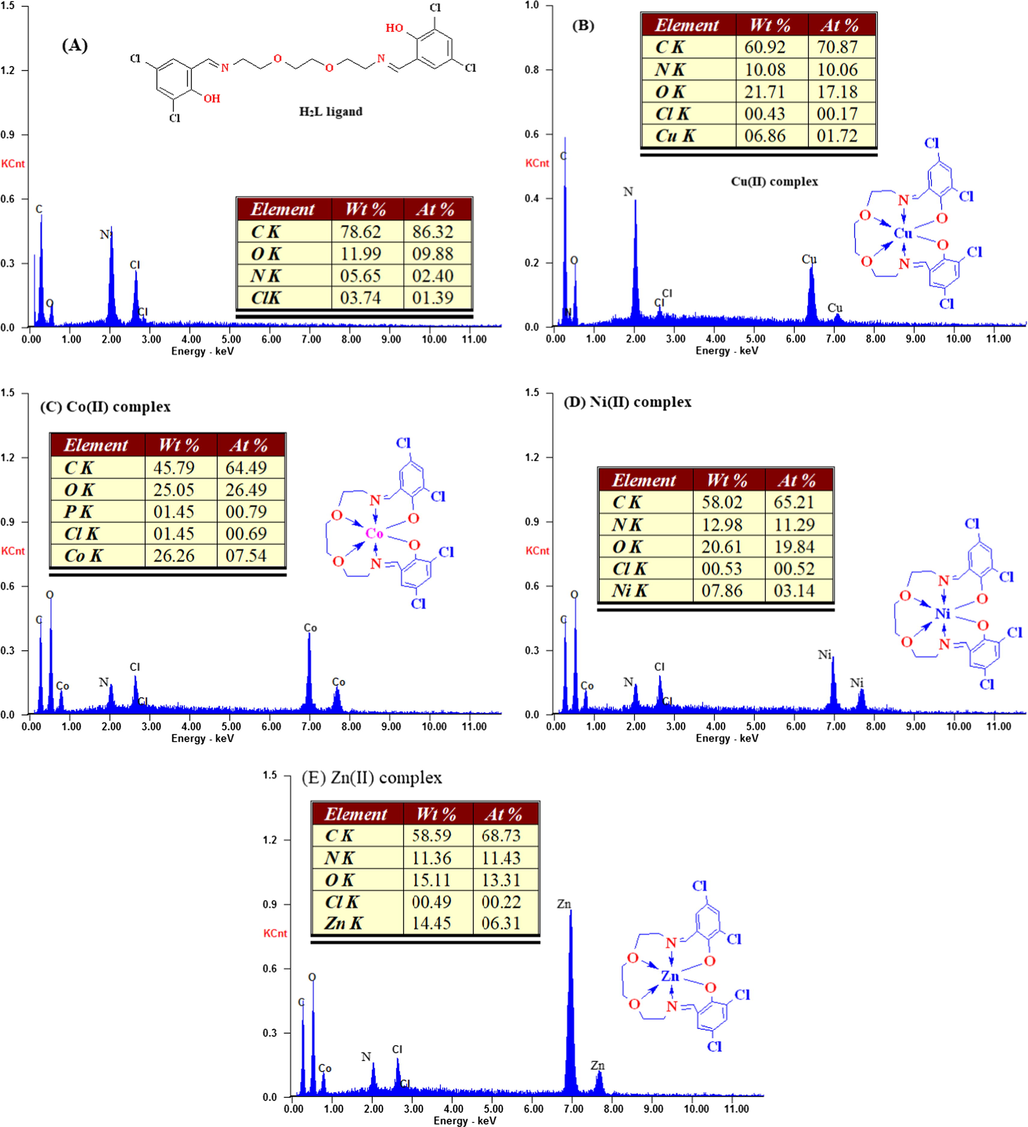 EDX images of H2L ligand and its metal (II) complexes (a–e), respectively.