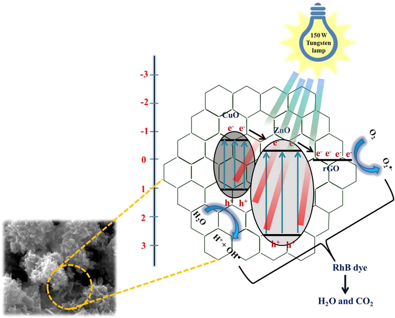 Possible way for charge transfer mechanism in ZC3G15 ternary nanocomposites under visible light irradiation.