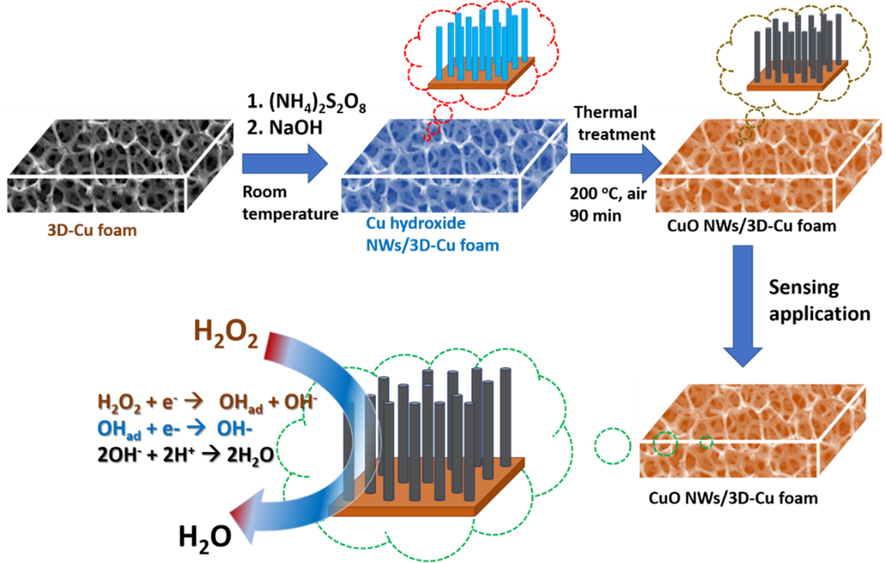 Schematic illustration for CuO NWs/3D-Cu foam preparation.